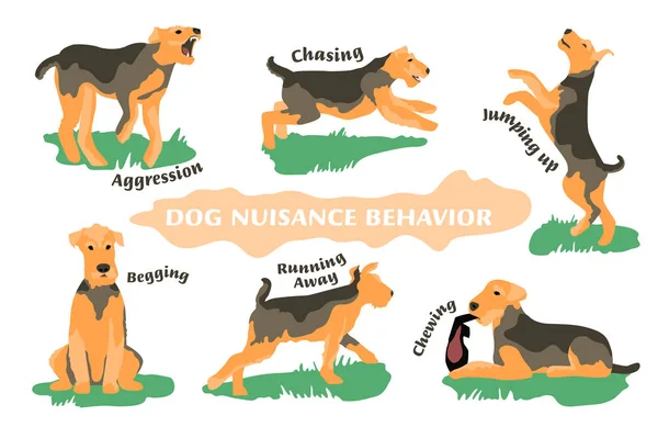 Cão Comportamento Problemas Ícones Set —  Vetores de Stock