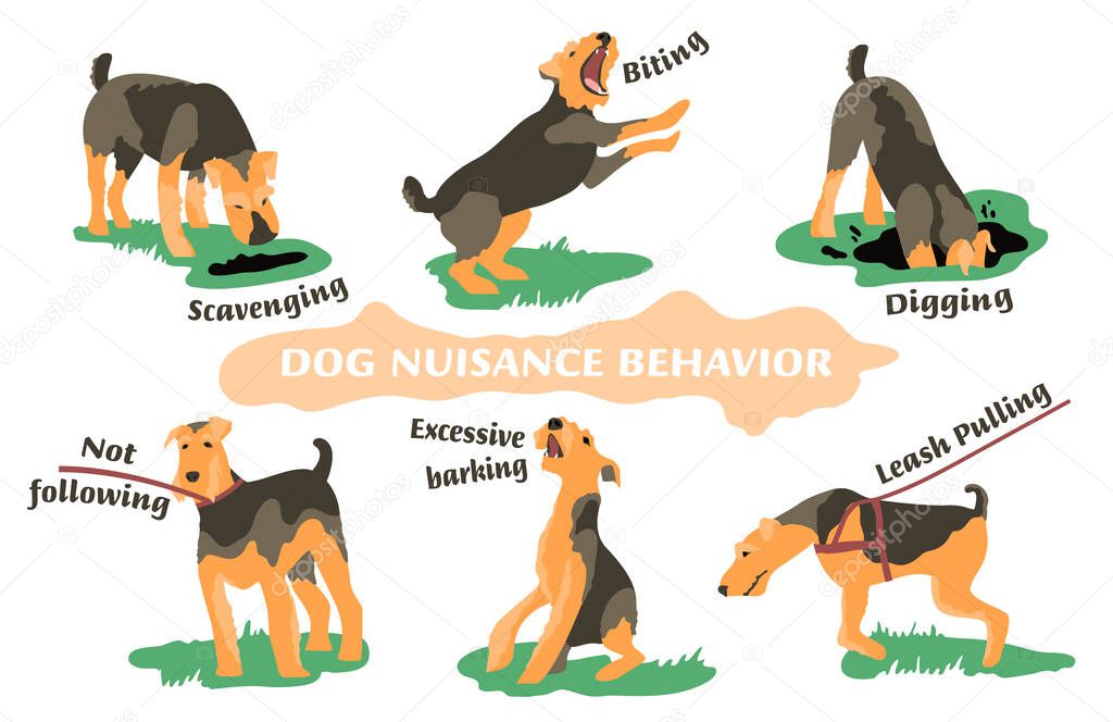 Dog behavior problem icon set