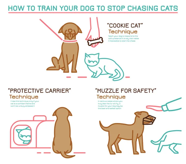 Técnica de entrenamiento de gatos y perros — Archivo Imágenes Vectoriales