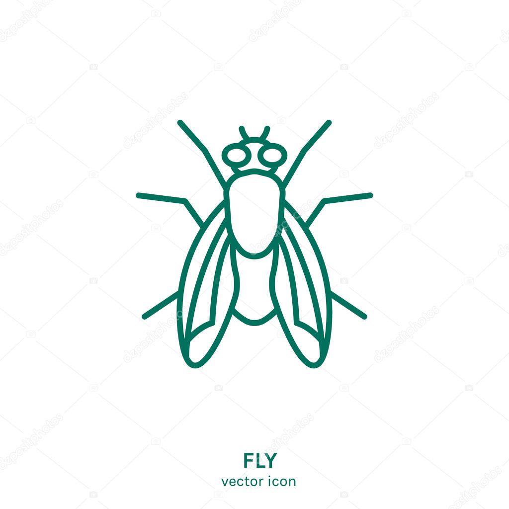Insect vector icon