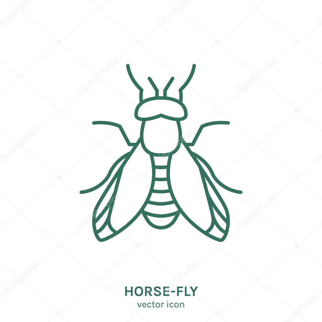 Vector Insect Icon