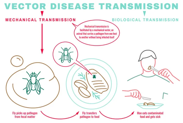 Afiche de transmisión — Archivo Imágenes Vectoriales