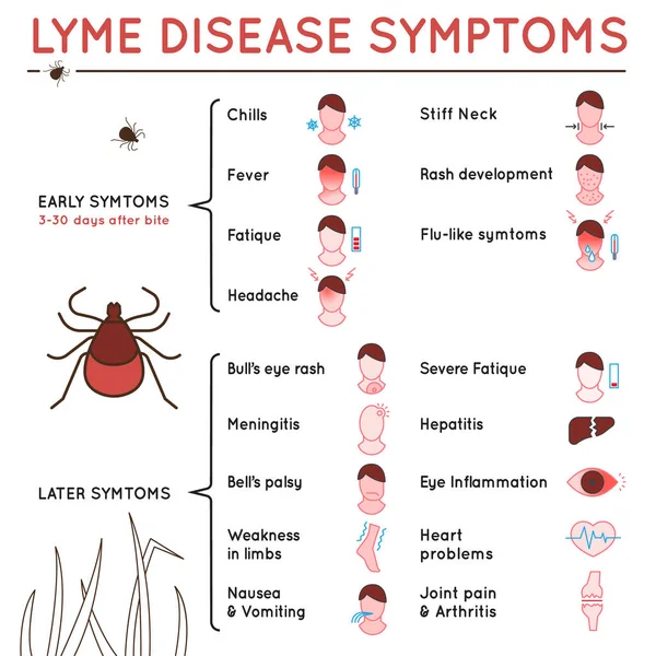 Poster Tick disease — Stockvector