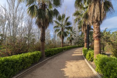 Parkta tatlı bir yürüyüş.