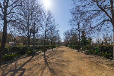 Kışın parkta yürürken