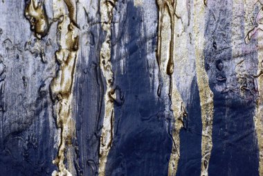 akrilik dokuma bezi boya renk altın pas yeşil parlak sanat eserleri karnaval çiziyor