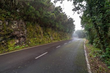 Etrafı kayalar ve ağaçlarla çevrili boş yol, Tenerife, Anaga