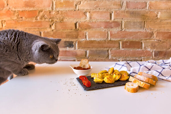 A hungry cat is sniffing and want to eat dumplings prepared for photo session.