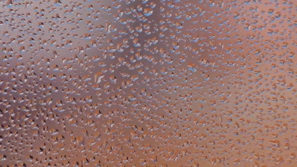 Misted glass of window with water drops texture and gray background. — Stok video