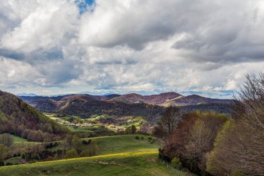Dağlar, tepeler ve orman, kısmen güneş tarafından aydınlatılıyor. Ön planda yeşil çayır. Katalunya, İspanya