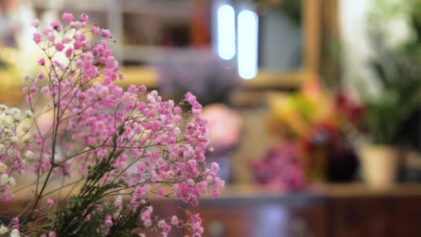 Букет розовых и белых цветов гипсофилы. Ассортимент цветочного магазина для украшения и поздравления . — стоковое видео