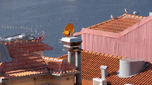 PORTO, PORTUGAL - OKTOBER 26th 2019: Oude huizen, Typische betegelde daken, traditionele rabelo boot gaat op de rivier de Douro — Stockvideo