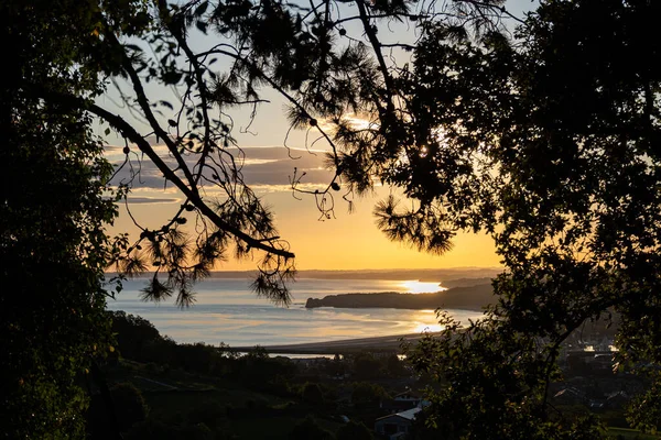 Pemandangan indah di laut melalui cabang cemara saat matahari terbit. — Stok Foto