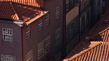 PORTO, PORTUGAL - 26 Ekim 2019: Eski evler, tipik çatılar, ranza, geleneksel haham teknesi Douro Nehri 'ne gider. 