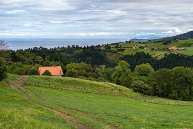 Yeşil tepenin oradaki köyde birkaç kır evi olan manzara. Ormanı, denizi ve bulutlu mavi gökyüzü. Bask ülkesi, İspanya. Camino de Santiago