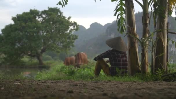 Hombre Local Establece Con Esta Comida Pueblo Del Bosque — Vídeos de Stock