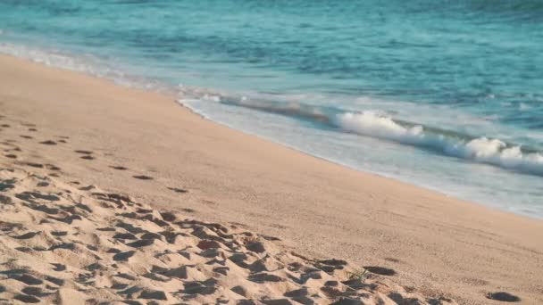 ビーチで晴れた日と男はビーチを歩き休日を楽しむ — ストック動画
