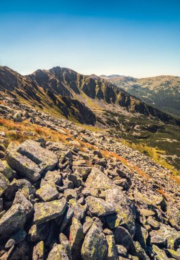 Güneşli ön planda taşlarla dağ manzarası