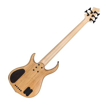 Elektrik bas gitar arka yüzü