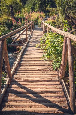 Ormandaki eski ahşap köprü