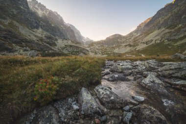 Gün batımında dağ zirveleri altında Vadisi'nde Creek