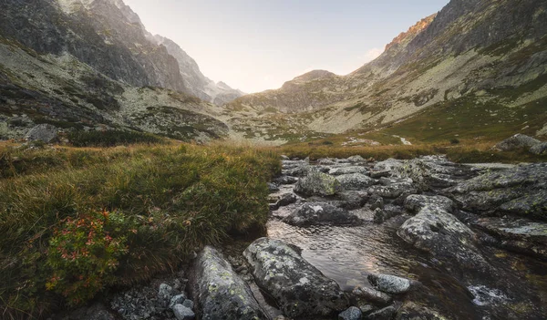 Creek en el valle bajo los picos de la montaña al atardecer — Foto de Stock