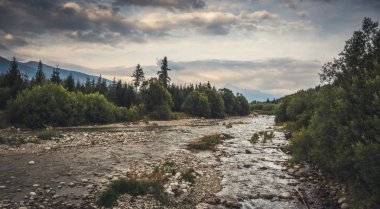nehir ve dağ manzara