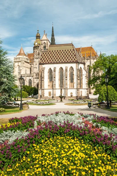 Cathedral of St. Elizabeth with Garden — Stock Photo, Image