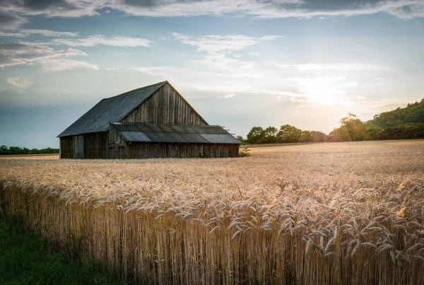 Abandoned Shack in the Field — Stock Photo, Image