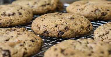 Raf soğutma üzerinde çikolata kurabiye