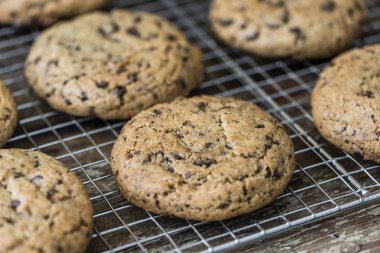 Raf soğutma üzerinde çikolata kurabiye