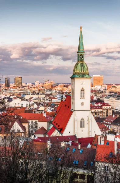 Katedral Bratislava, Slovakya — Stok fotoğraf