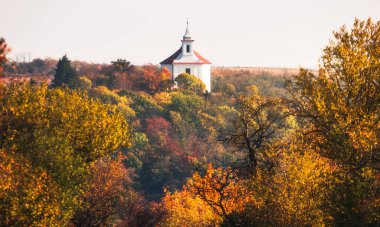 Tepede Beyaz Şapeli olan Sonbahar Ormanı Manzarası