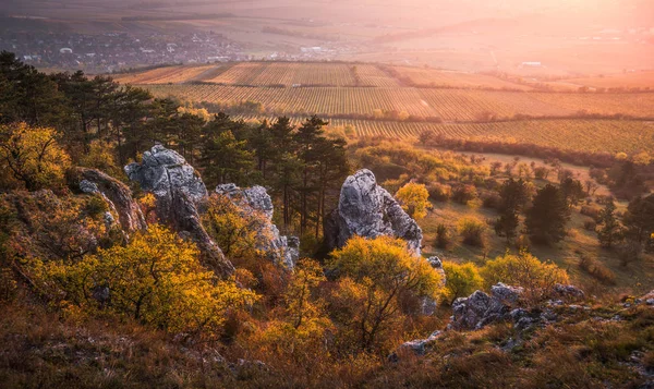 Otoño Puesta de sol sobre el paisaje rocoso con viñedos —  Fotos de Stock