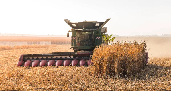 Erntemaschine auf einem Maisfeld — Stockfoto