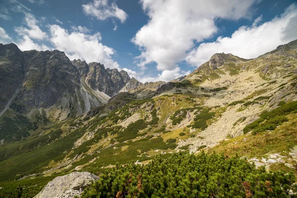 Dağ manzarası — Stok fotoğraf