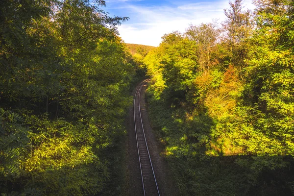 Ferrovia vazia em uma floresta — Fotografia de Stock