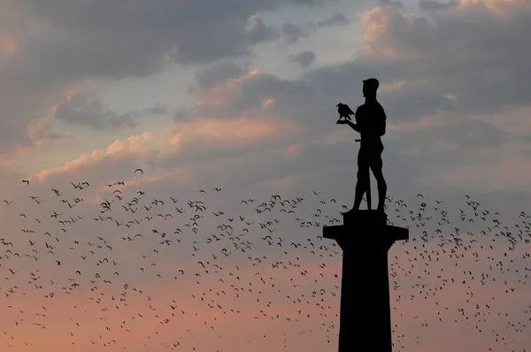 Silhouette Del Monumento Victor Circondato Stormo Uccelli Uno Dei Punti — Foto Stock