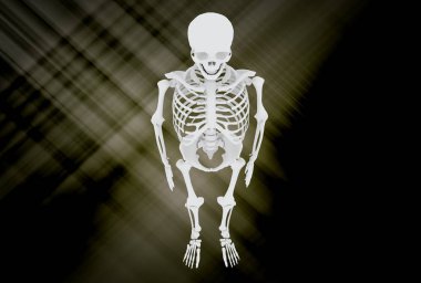 İnsan kafatası stok görüntü 