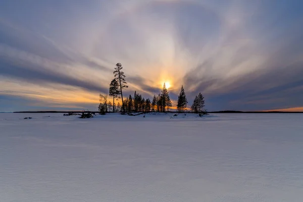 Sunset over the frozen lake in winter. Solar halo. The suns rays make their way through the crowns of trees on a small island. Blue snow. Winter landscape. — Stock Photo, Image