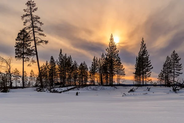 sunset over the frozen lake in winter. Solar halo. The suns rays make their way through the crowns of trees on a small island. Blue snow. Winter landscape.