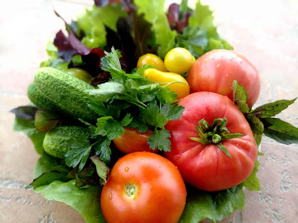 Frisches Gemüse zum Mittag- oder Abendessen. Salat, Gurkentomaten in Wassertropfen. Petersilie und Basilikum. — Stockfoto