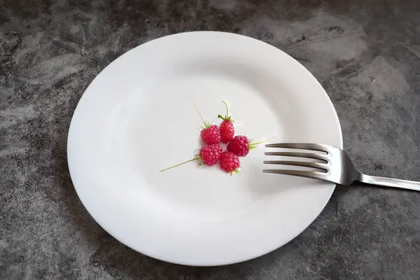 Потерти Малину Білій Тарілці Біля Металевого Штекера Концепція Дієтичного Харчування — стокове фото