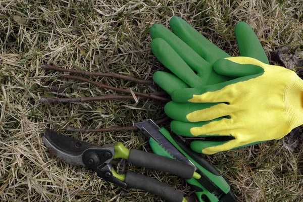 Accessories for spring garden care, pruning, grafting, budding. Top view on sikator, green gloves and a garden knife.