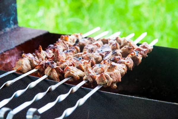 Izgara domuz eti ve ızgara soğanlı ızgara.. 