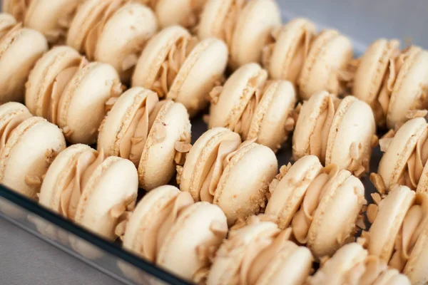 Házi Készítésű Francia Macaroons Barna Kagylóval Mogyoróvajkrémmel Mogyoróval Szelektív Fókusz — Stock Fotó