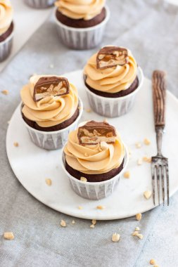 Fıstık ezmeli, peynirli ve çikolatalı kekler. Kırsal gri arkaplan