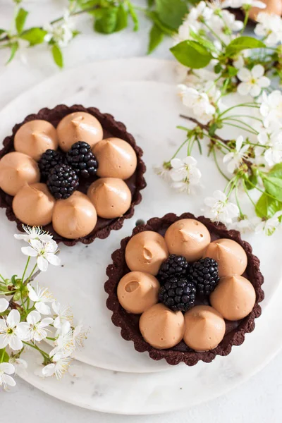 Čokoládový Koláč Slanou Karamelovou Náplní Čerstvými Ostružinami Třešňové Květy Pozadí — Stock fotografie