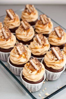 Fıstık ezmeli krem peynirli kekler, çikolata parçaları, tuzlu karamel ve cam tepside doğranmış fındıklar. Düz gri arkaplan