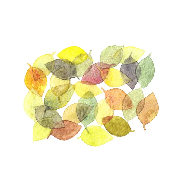 Mooie Bloemen Illustratie Met Aquarel Bladeren Voor Kaart Achtergrond — Stockfoto